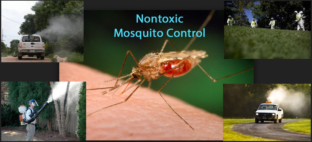 Mosquito-Control